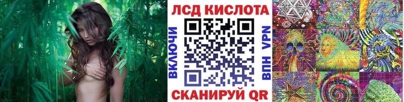 kraken вход Мытищи Марки 25I-NBOMe 1,5мг цены наркотик